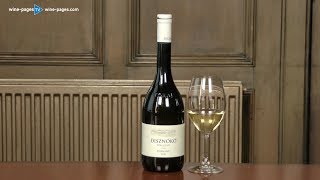 Disznókö Tokaji Dry Furmint 2016 wine review [upl. by Anirehtak]