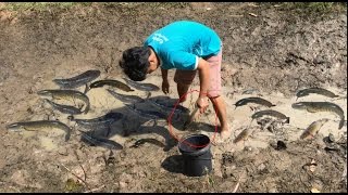 Cambodia Catch Net Fishing At Kompong Chhnang Province  Cambodian Net Fishing  9 [upl. by Linnell]