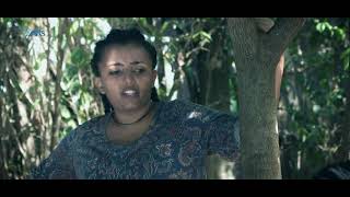 እረኛዬ ምዕራፍ 3 ክፍል 11 Eregnaye Season 3 Ep 11 Arts Tv World [upl. by Hudson]