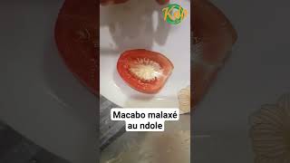 comment faire le macabo malaxé au ndole [upl. by Ophelie433]