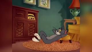 Tom and jerry malayalam dubbing part 1 [upl. by Kubetz]