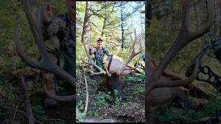 Idaho elk hunt 2023 hunting elk idaho [upl. by Yelahs]