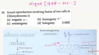 NEET PYQ ALGAE Q1 1988 [upl. by Ahkos]