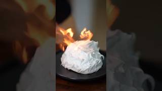 Baked Alaska [upl. by Adamec]