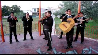 Mariachi Sol De Oro De Torreon Coah  Cuatro Meses [upl. by Ataymik]