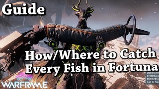 Warframe  WhereHow To Catch Every Fish In FortunaOrb Vallis Guide [upl. by Singband976]