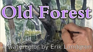 Old Forest  A watercolor by Erik Lundgren [upl. by Llerud971]