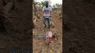 🇮🇳Corn plantation jolly farm dec24🇮🇳 shorts viralvideo [upl. by Ahsinna]