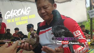 TIM AG BAWA GARONGANAK GARONG DAN CUCU GARONG DI LAPAK SEMARANG LOMBA MOBIL AYLA [upl. by Chicoine]