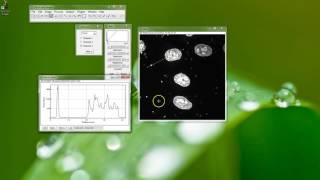 Fiji Is Just ImageJ  Counting Cells Part 1  Nuclei [upl. by Asilegna815]