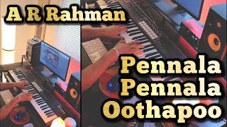 Pennala Pennala Oothapoo Piano Cover  Uzhavan 1993  AR Rahman [upl. by Ellertnom577]