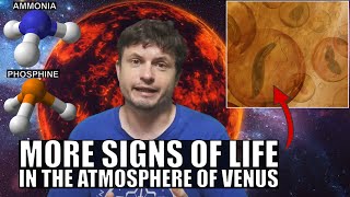 Gases Hinting At Alien Life Detected in the Atmosphere of Venus [upl. by Miett]