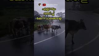 ഒന്ന് അടിച്ച് കേറിവാ മക്കളെ reactionshorts viralreactionshorts respectshorts viralyoutube [upl. by Annoval657]