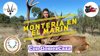 Montería en Extremadura  El Cuarto Del Marín  con Lolo De Juan amp GomezCaza [upl. by Ahsinar889]