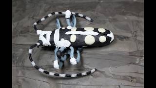 Fungal Control of the Asian Longhorned Beetle [upl. by Ynar]