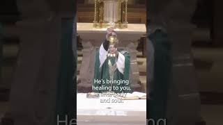 Why We Go To Mass  A Sacred Moment Just after Holy Communion [upl. by Roon]