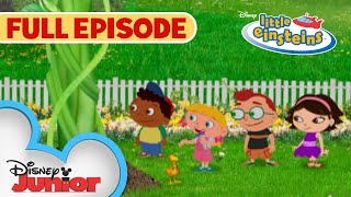 Annie and The Beanstalk  S2 E9  Full Episode  Little Einsteins  disneyjr [upl. by Ttereve]