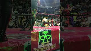 ¿A quien prefieren Laredo Kid o Bengala [upl. by Retniw]