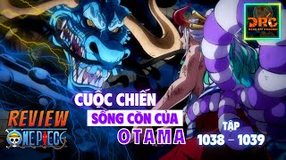 Review ONE PIECE ARC WANO ☠️ Tập 10381039 CUỘC CHIẾN SỐNG CÒN CỦA OTAMA  Tóm Tắt ĐẢO HẢI TẶC [upl. by Noxas]