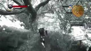 Easy Unlimited Werewolf loots In Wolfs Clothing Witcher 3 Wild Hunt [upl. by Eahsed423]