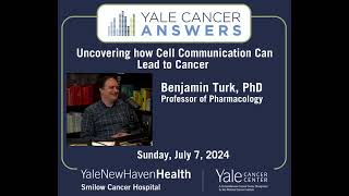 Uncovering how Cell Communication Can Lead to Cancer [upl. by Ebenezer]