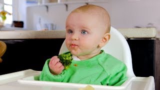 Babyled weaning basics [upl. by Mccomb]