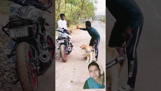 subscriber more videos like this ♥️🐶 goldenretriever doglover dog puppies [upl. by Kaleb]