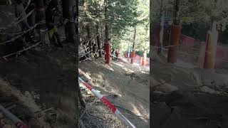 chainsaw crazy at Champery DH Euro Champs [upl. by Eilyw]