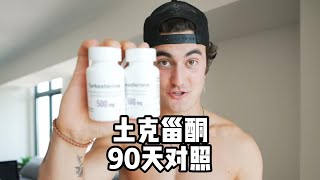 使用土克甾酮90天的对照健身 健美 撸铁 奥赛类固醇土克甾酮Turkesterone [upl. by Kariv]