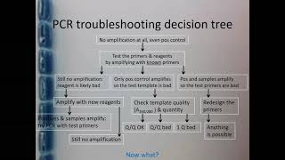 PCR amp qPCR Troubleshooting  Part 4 [upl. by Pepita]