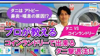 コインランドリーの乾燥機でダニ退治する方法【プロが教える！】ブルースカイランドリー [upl. by Pauiie]