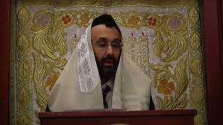 RAvner Yunayev Chok Lisrael Halachot Yom Kippur 10424 [upl. by Refinnaj]