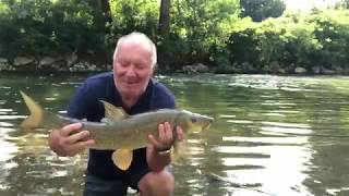 Il grande Barbo della vita  pesca a bolognese di un Barbo gigante da 3300 Kg sul fiume Oglio [upl. by Eiryt]