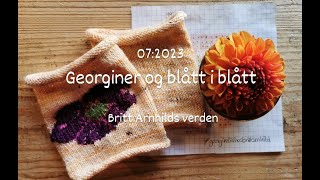 072023 Georginer og blått i blått [upl. by Ymassej300]