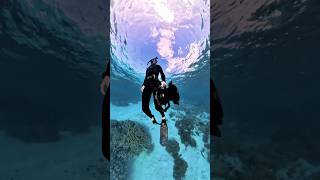 Ocean point of view underwater [upl. by Nad]