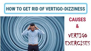 How To Get Rid Of Vertigo And Dizziness Causes amp Vertigo Exercises Treatment [upl. by Stephana809]