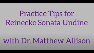 Practice Tips for Reinecke Sonata Undine [upl. by Tiebout274]