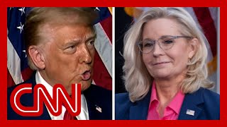 Liz Cheney blasted Trump at a Harris rally He responded on Fox News [upl. by Bartel]