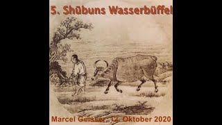 5 ShÅ«buns WasserbÃ¼ffel Marcel Geisser Roshi [upl. by Cirtemed]