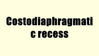 Costodiaphragmatic recess [upl. by Meg]