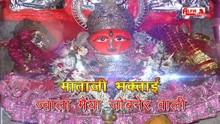 ज्वाला मैया जोबनेर वाली माताजी भक्ताई नवरात्री भजन  Jwala Mata Bhajan  Alfa Music amp Films [upl. by Nived]