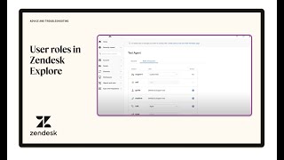 User roles in Zendesk Explore [upl. by Nnayt]