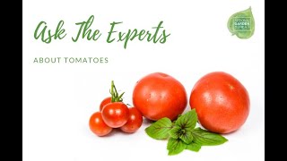 Ask the Experts about Tomatoes  Types Diseases amp More [upl. by Flavian946]