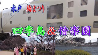 水戸の梅まつり 四季島＆偕楽園 [upl. by Ettenaj]