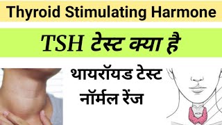 TSH Test in Hindi  Thyroid Stimulating Harmone  tsh report in hindi [upl. by Ralyks]