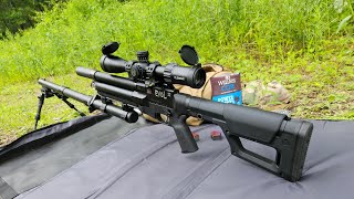 American Air Arms Evol Mini 22  100 yards [upl. by Eical786]