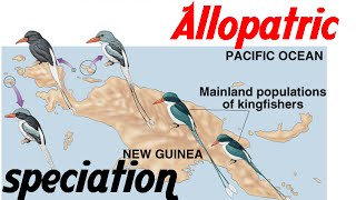 Allopatric speciation animation [upl. by Ihsorih]