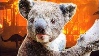 The Truth About the Australian Bushfires [upl. by Colbye370]