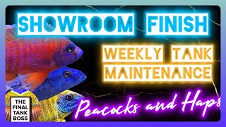 Essential Tank Maintenance Tips for a Healthy Aquarium [upl. by Oiramat]