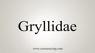 How To Say Gryllidae [upl. by Nevin]